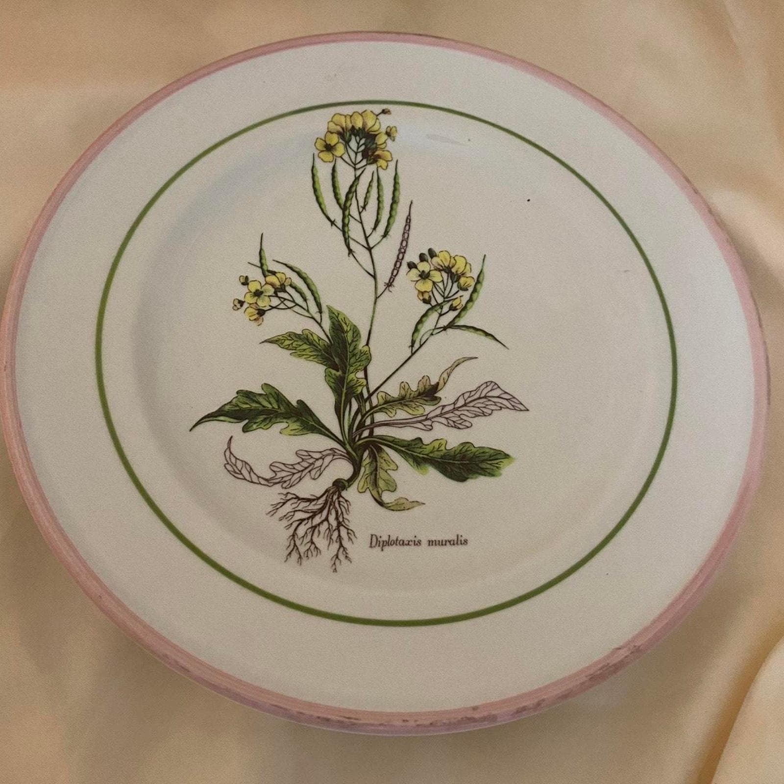 La primula italy - Etsy 日本