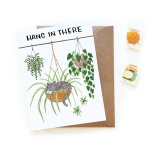 Hang In There Katten en Planten Card | Verdun Calico Opknoping Planten Spider Plant Aanmoedigingskaart