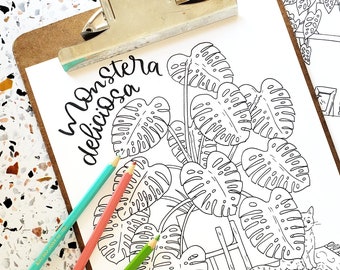 Monstera Coloring Pages | Printable Coloring Sheets | Downloadable Coloring Pages | Monstera Deliciosa Adansonii Borsigiana