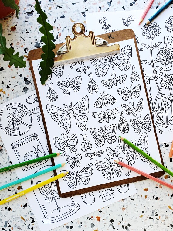 butterflies insects coloring pages printable coloring etsy