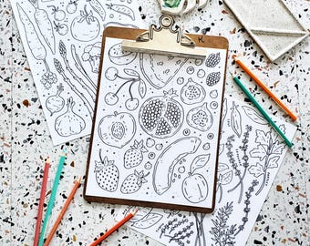 Farmers Market Coloring Pages Printable PDF, Home School Activity Fruits Vegetables Herbs Coloring Sheets, Summer Activity for Kids Adults