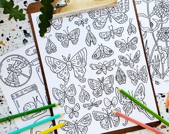 bug coloring etsy