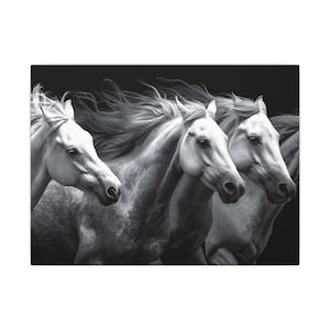 Black and White Horse Print, Home Decor, Animal Art, Gallery Wall, Nature Lover Gift, Equine Artwork, Modern Aesthetic