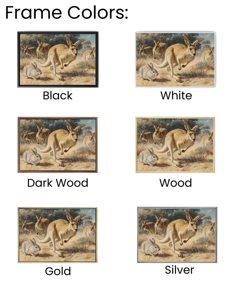 Rustic Kangaroo & Rabbit Art – Antique Australian Wildlife Illustration ...