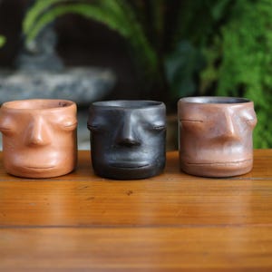 May include: Three small, handcrafted ceramic planters with human face designs. The planters are in shades of brown and black, with closed eyes and simple facial features. They sit on a wooden surface, with a blurred green background.