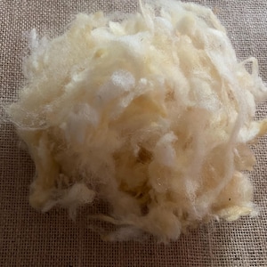May include: A loose pile of raw, unspun wool fibers in a creamy off-white color. The fibers appear soft, fluffy, and slightly tangled, showcasing a natural, unprocessed texture with varying shades of pale yellow and bright white throughout the mass.