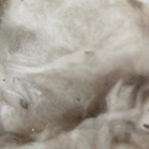 100 g di fibra vergine di kapok, materiale di imbottitura per cuscini, peluche, giocattoli per animali domestici.
