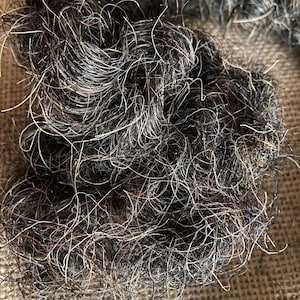 Könnte beinhalten: Nahaufnahme einer verhedderten Masse aus dunkelgrauem und weißem Haar. Das Haar scheint grob und drahtig zu sein, mit Strähnen unterschiedlicher Längen und Texturen. Der Gesamteindruck ist ein dichtes, strukturiertes Material.