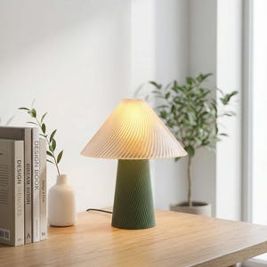 May include: A modern table lamp with a green, spiral-textured base and a translucent, pleated lampshade. The lamp is on a wooden table, next to books and a small vase with greenery. The lamp emits a warm, inviting glow.