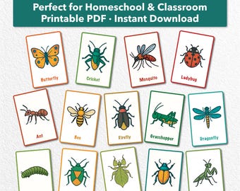 Insect Flashcards: Cut and Match Activity, Homeschool Printable (PDF)