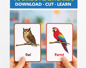 Bird Flashcards for Kids | 18 Bird Identification Cards | Nature Study Printable
