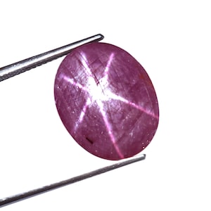 Op de afbeelding: Een ovaalvormige, dieproze sterrobijn edelsteen met een duidelijk zesstralig asterisme-effect over het gepolijste, doorschijnende oppervlak. De edelsteen wordt vastgehouden door een zilverkleurige metalen pincet tegen een witte achtergrond.