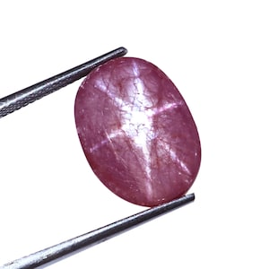 May include: An oval-shaped, cabochon-cut star ruby gemstone with a deep pinkish-red hue. The stone displays a distinct six-rayed star effect, known as asterism, across its polished, translucent surface, held by a pair of metal tweezers.
