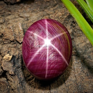 Op de afbeelding: Ovaalvormige, diep magenta ster-robijn edelsteen. De edelsteen vertoont een zesstralig ster-effect, met witte lijnen die uitstralen vanuit een centraal punt. De robijn ligt op een getextureerd, bruin houten oppervlak, met groene bladeren op de achtergrond.