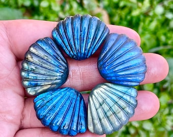 Hand Carved Labradorite Seashell, Crystal Healing Decor (25mm)
