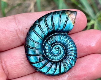 Labradorite Spiral Seashell Carving, Energy Healing Crystal Decor