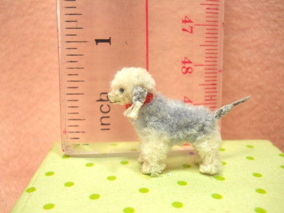 Bedlington terrier teddy discount