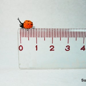 Orange Ladybug Micro Amigurumi Crochet Miniature Ladybug Made To Order image 4