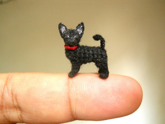 black chihuahua stuffed animal