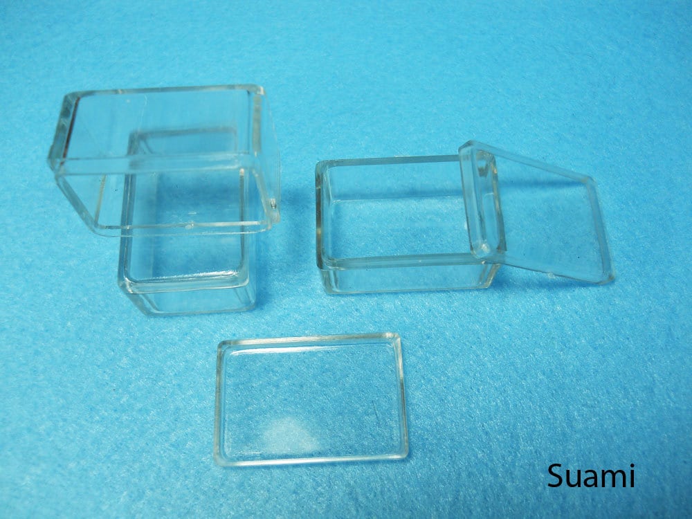 Small Clear Plastic Boxes Display Boxes, Clear Display Cases,transparent Plastic  Box, Eco System Terrarium Boxes Set of 12 PCS 