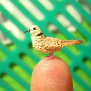 Ring Necked Dove - Micro Amigurumi Miniature Crochet Bird Stuffed Animal - Made To Order