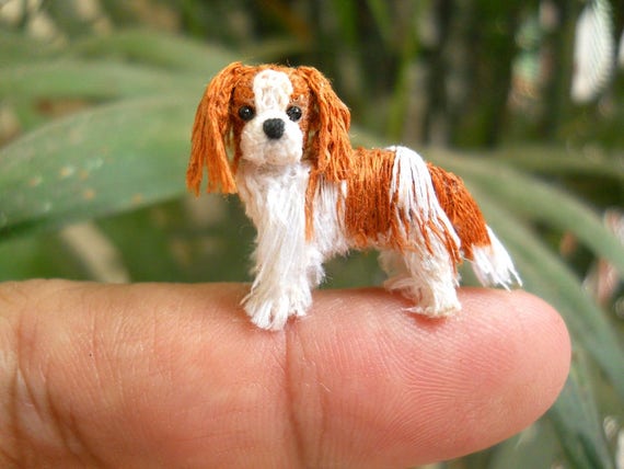 cavalier king charles blenheim