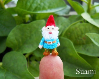 Gnomo de crochet en miniatura, amigurumi (hecho a pedido)