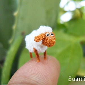 1/2 Zoll Micro Mini Schaf - Winziges Amigurumi häkeln Miniatur Schaf Lamm - auf Bestellung