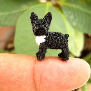 May include: A small black crocheted French bulldog with a white crocheted collar.