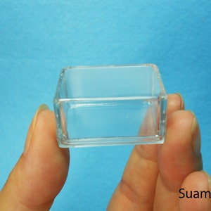 Small Clear Plastic Boxes - Display Boxes, Clear Display Cases,Transparent plastic box, Eco system terrarium boxes - Set of 12 PCS