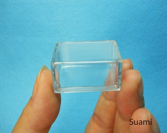 Small Clear Plastic Boxes - Display Boxes, Clear Display Cases,Transparent plastic box, Eco system terrarium boxes - Set of 12 PCS