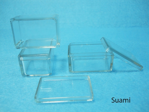 Pequeñas cajas de plástico transparente cajas de visualización, fundas  transparentes, caja de plástico transparente, cajas de terrario del sistema  Eco Conjunto de 12 PCS -  España