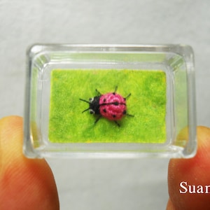 Micro Mariquita Rosa - Pequeña Mariquita Miniatura de Ganchillo - Hecha a pedido
