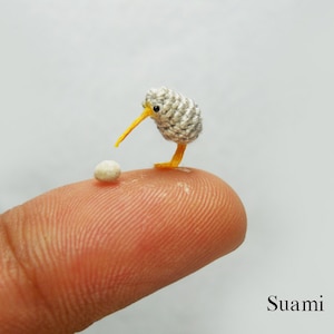 Micro Grey Kiwi With Egg -  Tiny  Crochet Miniature Kiwi Bird  - Made To Order