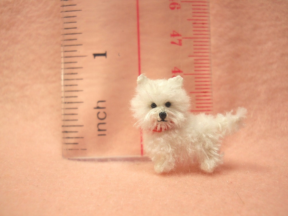 Miniature Westie Dog West Highland White Terrier Dog With - Etsy