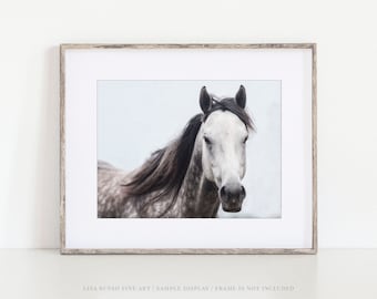 Grey Horse Photography Print - Equine Wall Decor for Nursery Farmhouse or Childs Bedroom