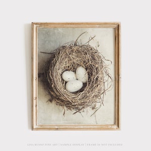 Beige Farmhouse Wall Decor - Shabby Chic Birds Nest Print for Kitchen or Nursery - Housewarming Gift for Her