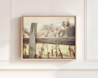 Framed Farmhouse Canvas Wall Art: Yellow Pasture Landscape