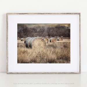 Texas Hayfield Print, Rustic Landscape Photo - Country Wall Art - Unframed Print Or Canvas Wrap | Available In Color or Black & White