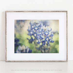 Texas Bluebonnet Print: Painterly Floral Photography Wall Art image 3