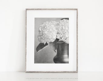 Black and White Flower Photography - Bedroom and Bathroom Wall Art - Elegant Floral Print or Canvas