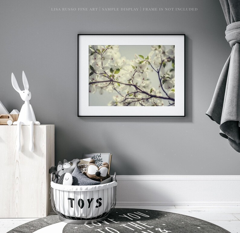 Dogwood Blossom Print: Soft Spring Floral Photography image 2