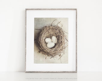 Shabby Chic Farmhouse Wall Decor Photo Print • Bird's Nest with 3 Eggs Photograph • Kitchen • Nursery or Bathroom Decor • Gift for Mom •