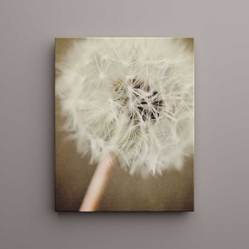 Neutral Brown Floral Dandelion Canvas Art Modern Minimalist Wall Decor for Bedroom Bathroom or Nursery image 1