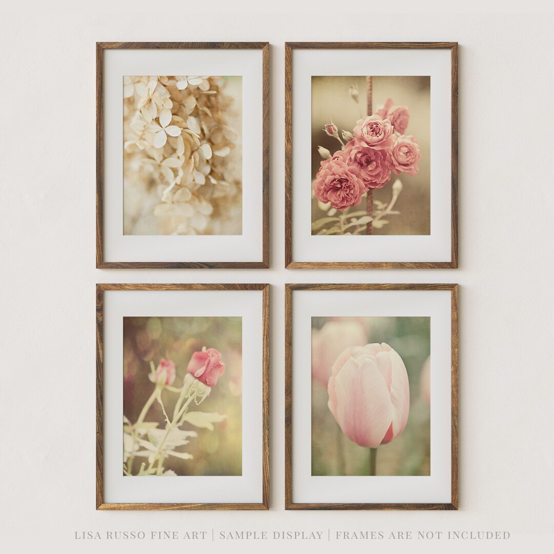 Shabby Chic Pink and Ivory Flower Wall Art Prints or Canvas Etsy