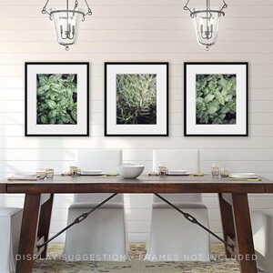 Herb Garden Print Set of 3 Unframed Photography Prints, Kitchen Wall Art Basil Rosemary Mint, Botanical Decor, Kitchen Hostess Gift Her image 4