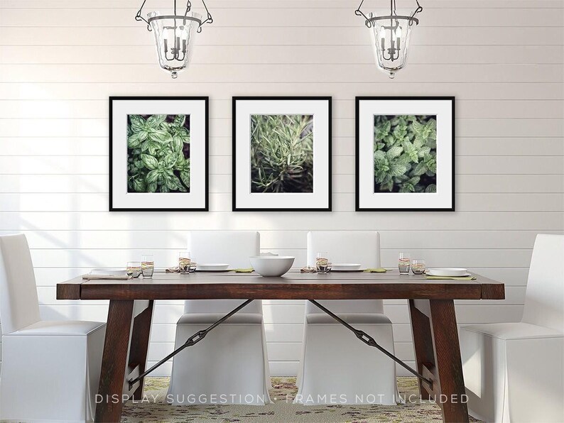 Herb Garden Print Set of 3 Unframed Photography Prints, Kitchen Wall Art Basil Rosemary Mint, Botanical Decor, Kitchen Hostess Gift Her image 4