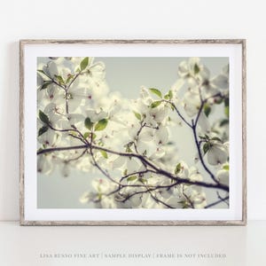 Dogwood Blossom Print: Soft Spring Floral Photography image 1