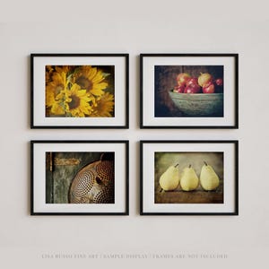 Farmhouse Kitchen Wall Art Set of 4 | Rustic Fruit, Sunflower & Vintage Decor Prints  for Dining Room or Pantry Decor | Curated Bundle