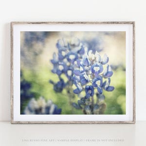 Texas Bluebonnet Print: Painterly Floral Photography Wall Art image 1
